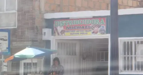 DISTRIBUIDORA MICHAEL DISTRIBUIDORA MICHAEL